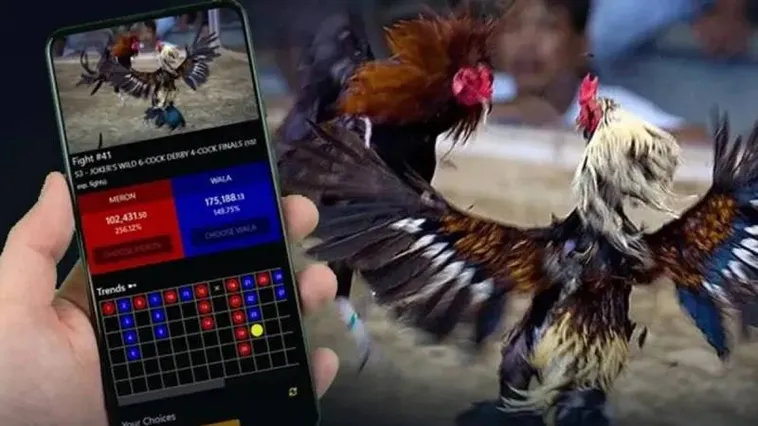 Đá Gà 8XBET Trực Tiếp Thomo Sống Động Chinh Phục Mọi Kèo Cược 1 Đá Gà 8XBET Trực Tiếp Thomo Sống Động Chinh Phục Mọi Kèo Cược