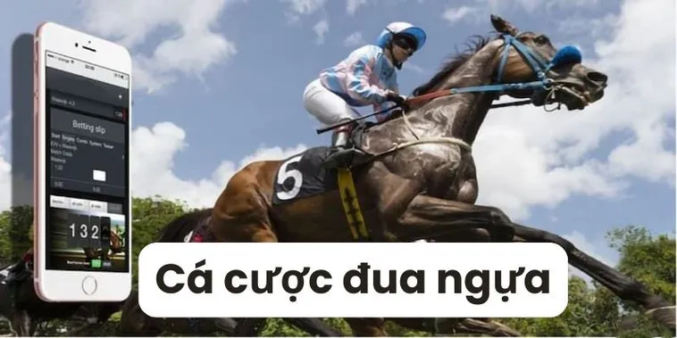 Cá Cược Đua Ngựa 8XBET Giải Mã Kèo Thơm Rinh Thưởng Lớn Mỗi Ngày 2 Cá Cược Đua Ngựa 8XBET Giải Mã Kèo Thơm Rinh Thưởng Lớn Mỗi Ngày