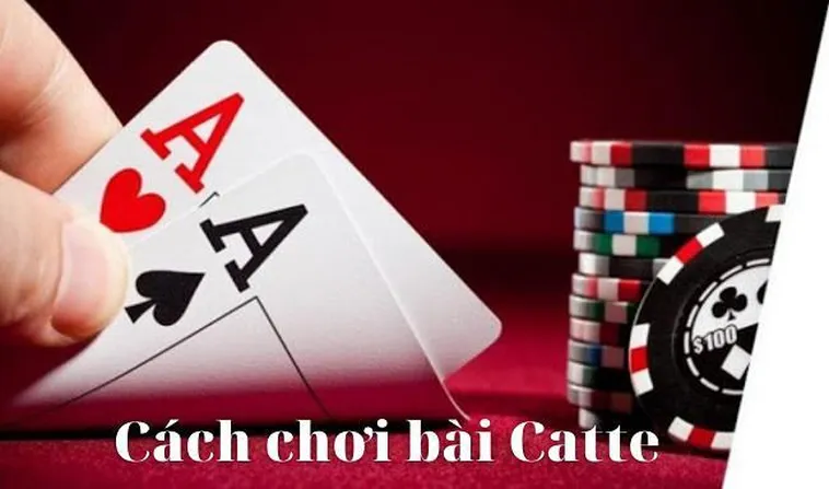Chinh Phục Sắc Tê 8XBET Bí Kíp Đánh Đâu Thắng Đó Từ Cao Thủ